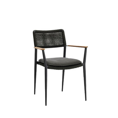Fauteuil Diphano Ray (accoudoirs en teck) (coussin inclus)
